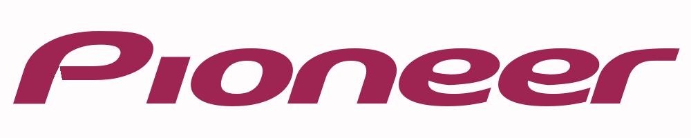 Payoneer Logo photo - 1