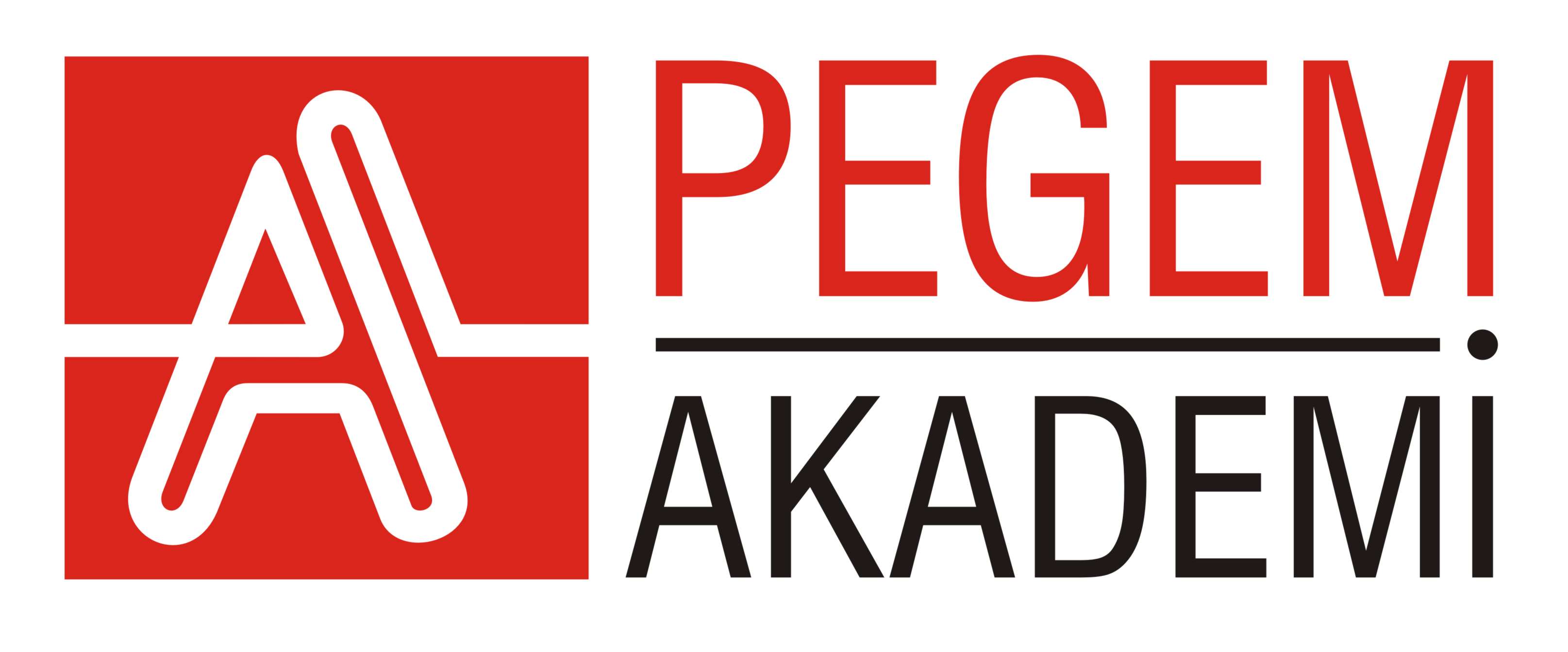 Pegem Akademi Logo photo - 1