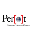 Perot Systems Logo photo - 1