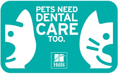 Pets_Need_Dental_Care_Too Logo photo - 1