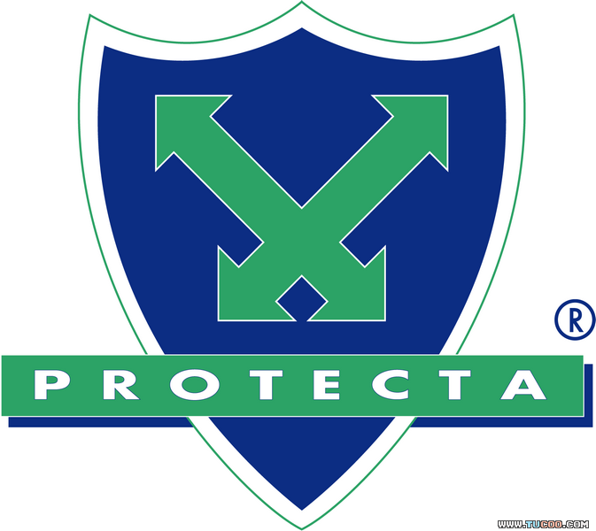 PeykeTasvir® Logo photo - 1
