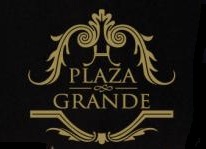 Plaza Orgo Logo photo - 1