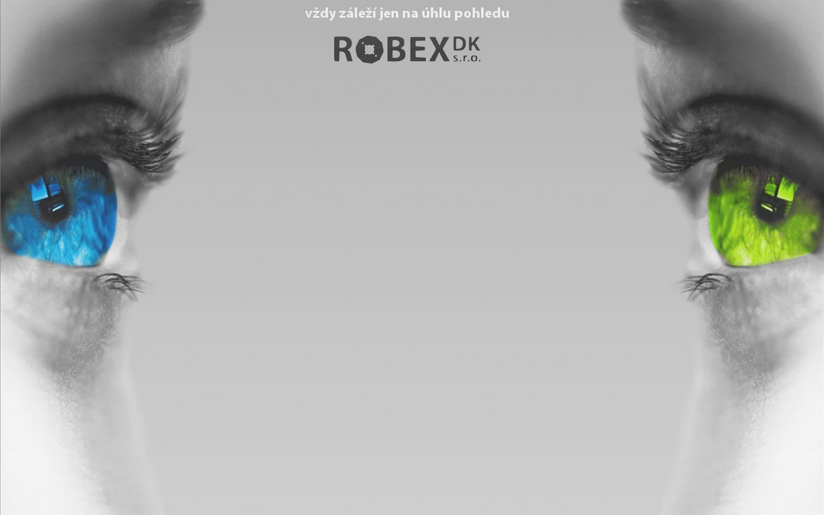 ROBEX DK, s.r.o. Logo photo - 1