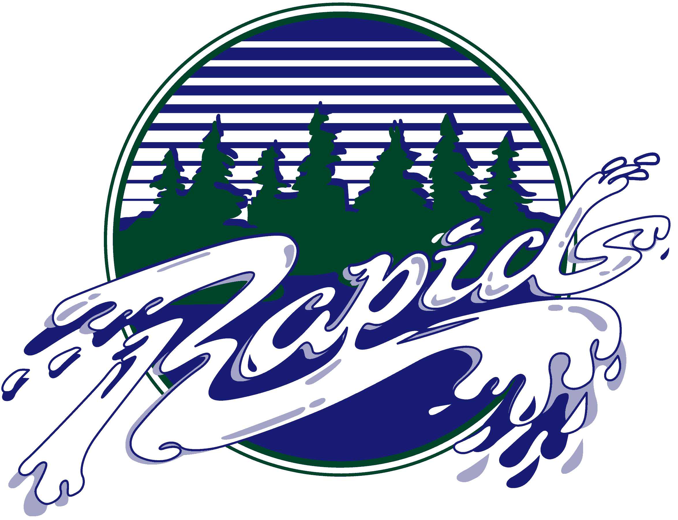RapidSpa Logo photo - 1