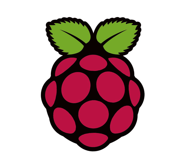 Raspberry Pi Logo photo - 1