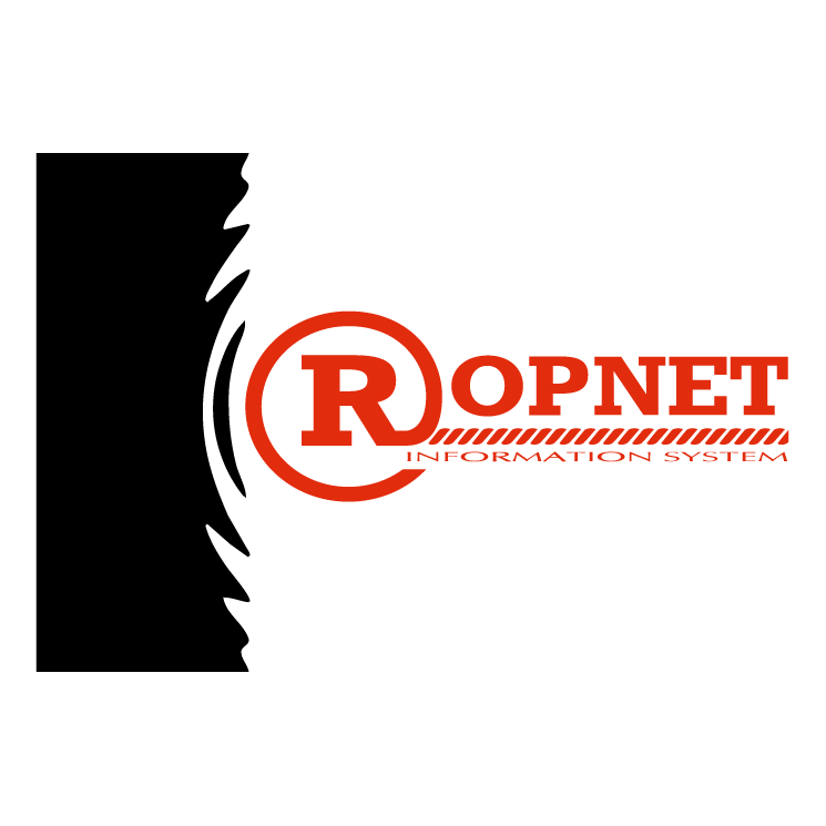 RopNet Information System Logo photo - 1