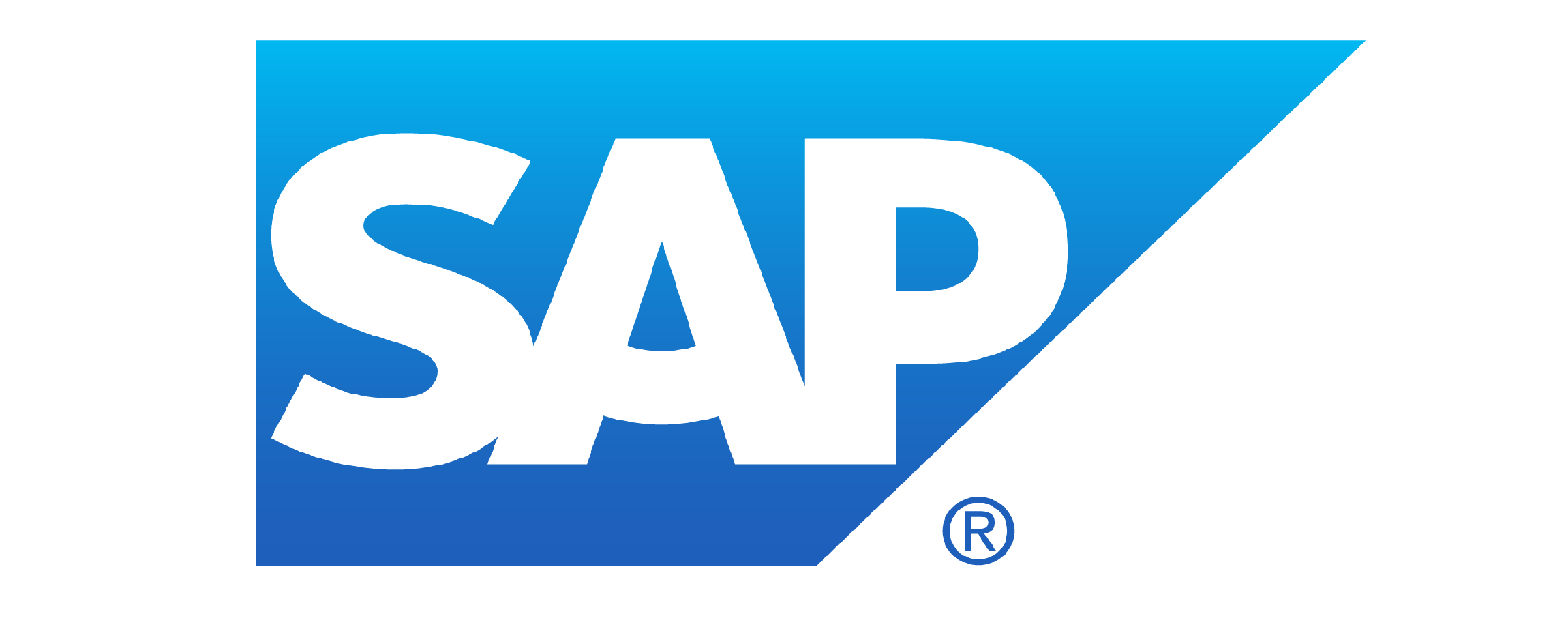 SAP Software Partner Logo photo - 1