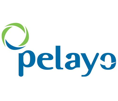Seguros Pelayo Logo photo - 1