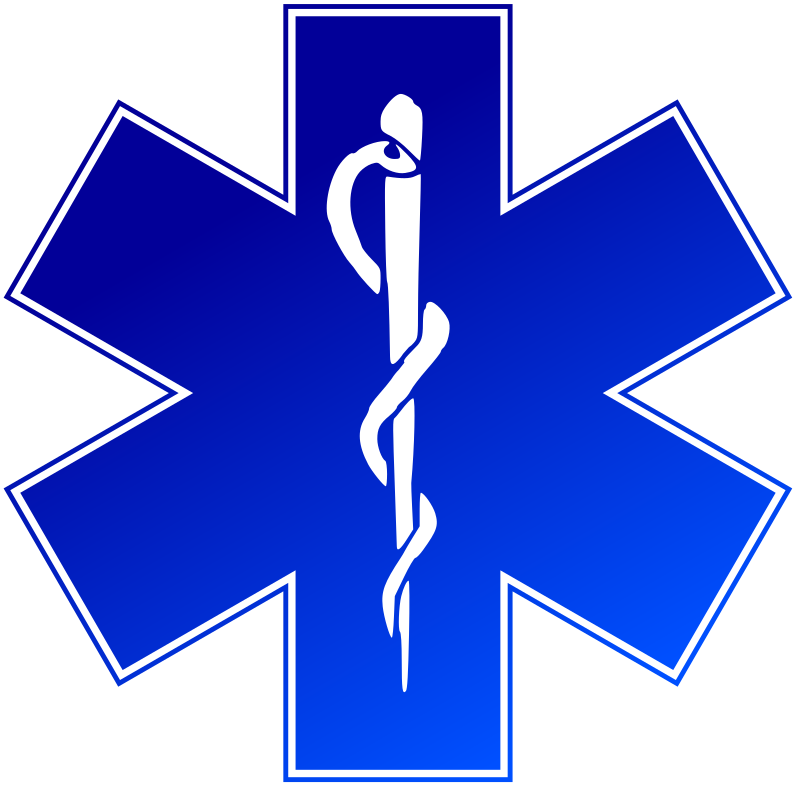 Service Medical Logo photo - 1