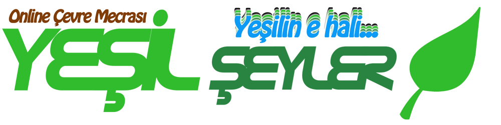 Seyler Logo photo - 1