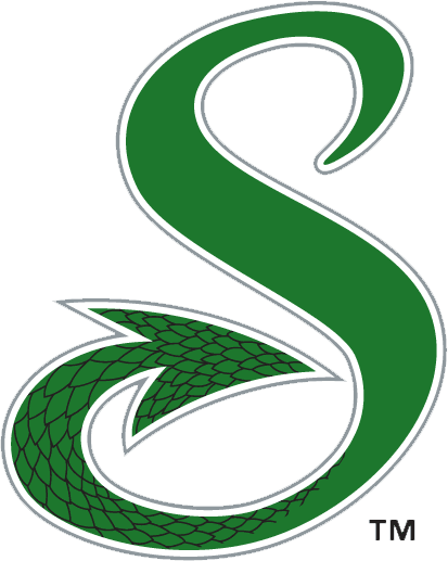 Shreveport Logo photo - 1