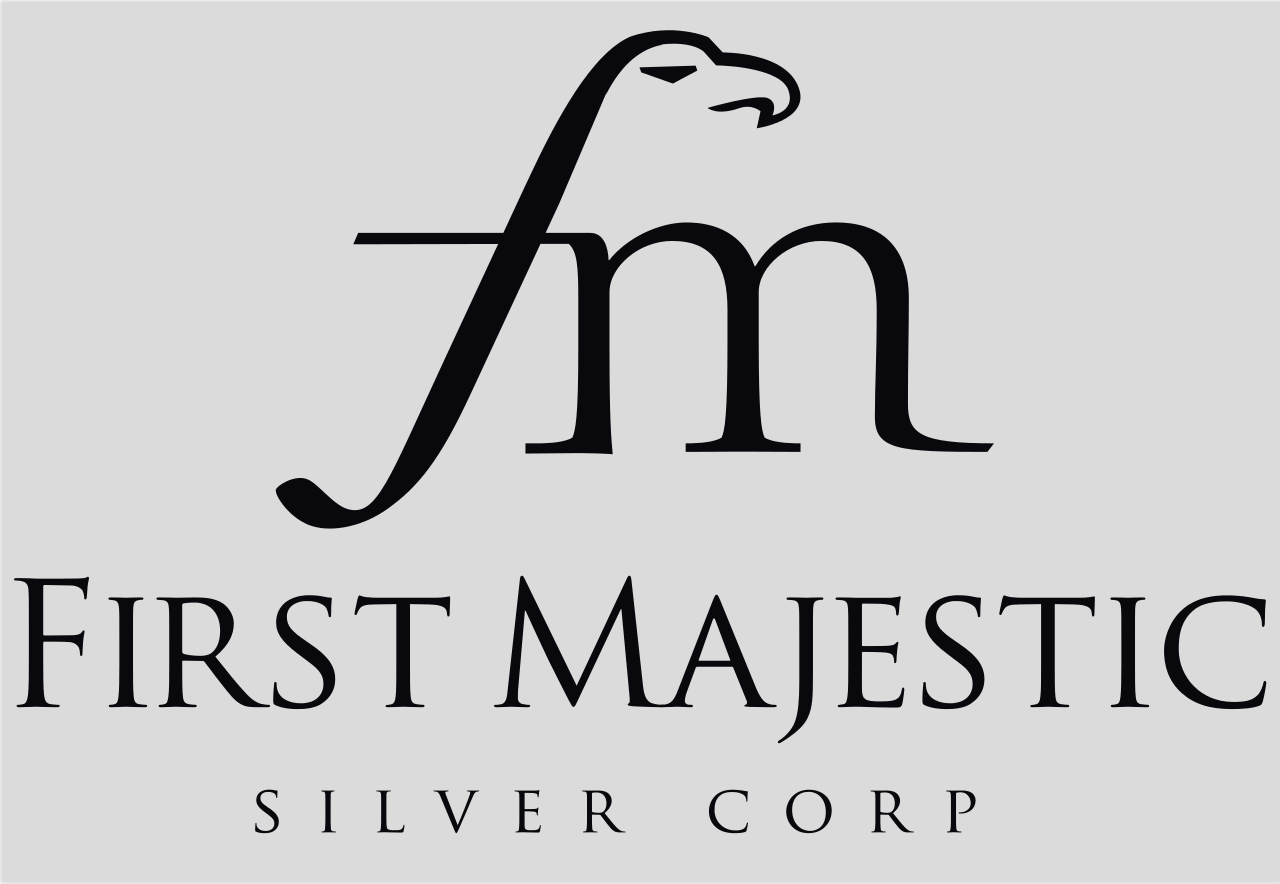 Silver First Logo photo - 1