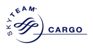 SkyTeam Cargo Logo photo - 1