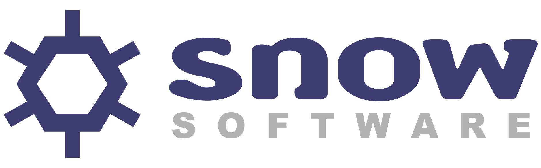 Snow Software Logo photo - 1
