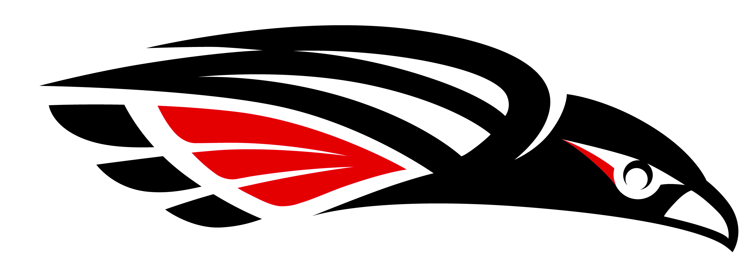 Southern Oregon Raiders Logo photo - 1