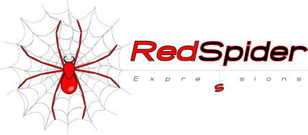 Spider Logo photo - 1