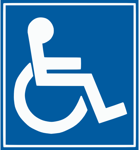 Stupidity is not a handicap Logo Template photo - 1