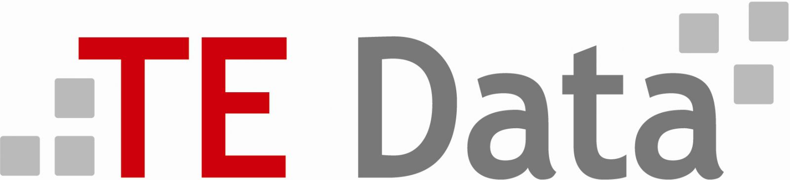 TE DATA Logo photo - 1