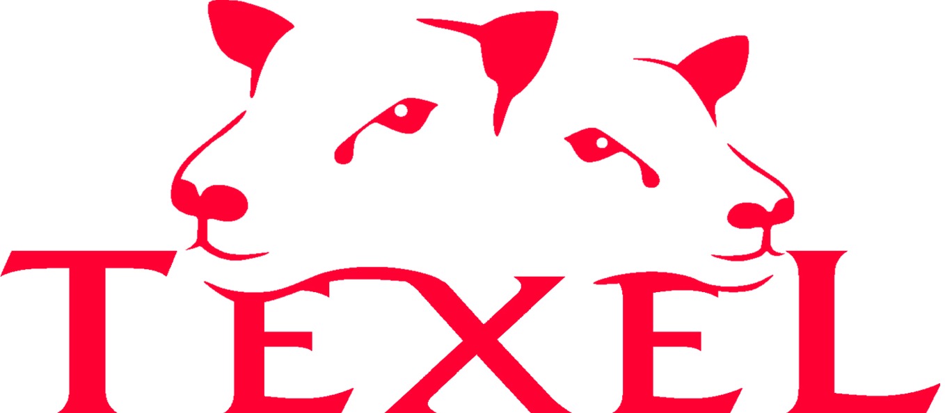 TEXEL Logo photo - 1