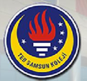 Ted Samsun Koleji Logo photo - 1