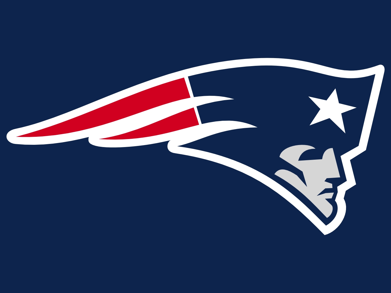 The New England Logo photo - 1