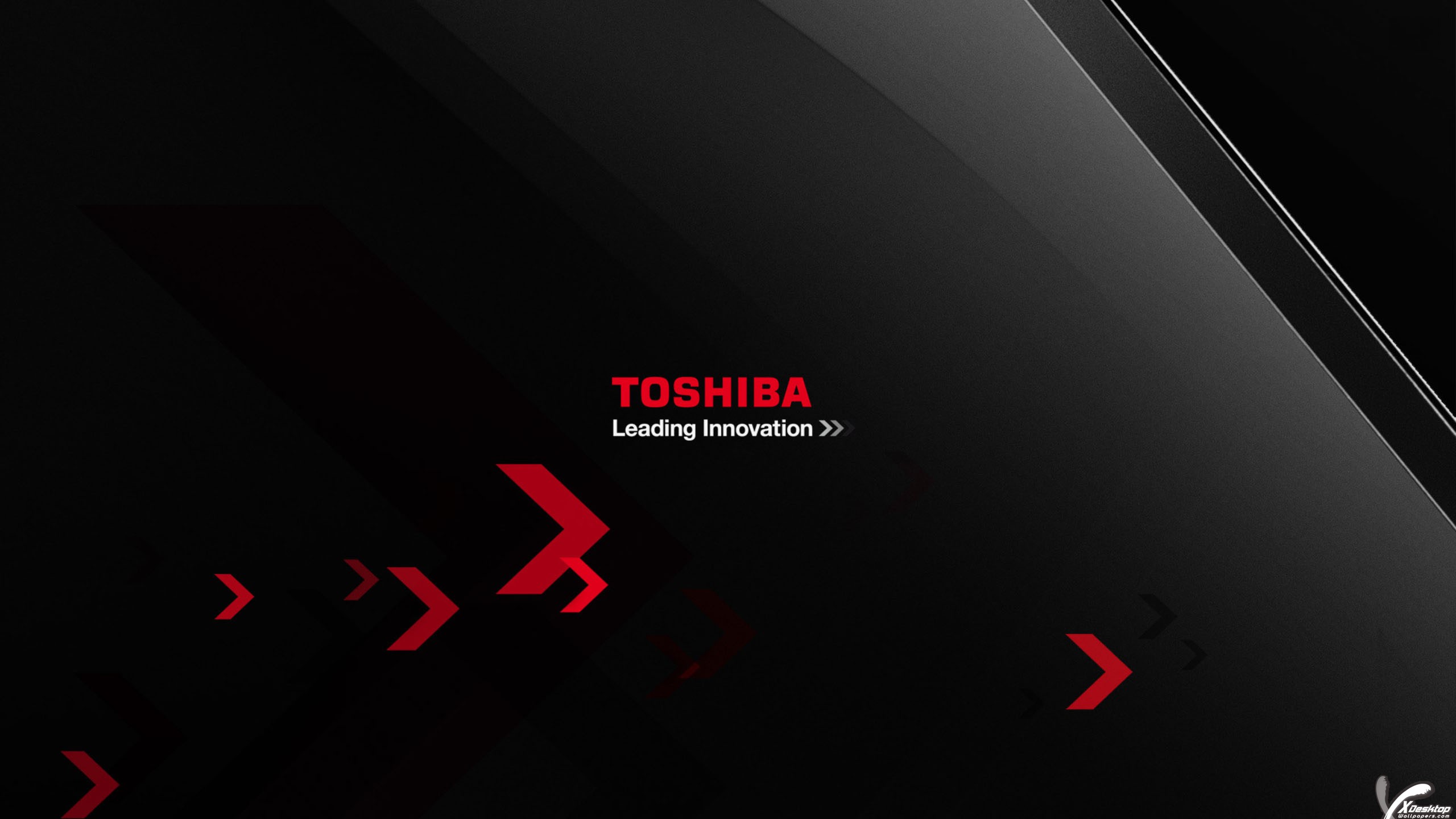 Toshiba Leading Innovation Logo photo - 1