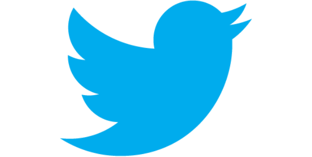 Twitter 2012 Positive Logo photo - 1