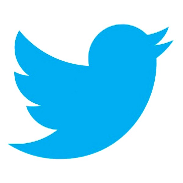 Twitter bird Logo photo - 1
