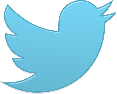 Twitter bird icon Logo photo - 1