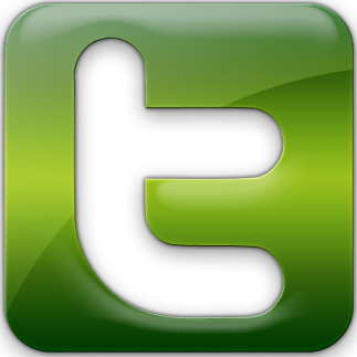 Twitter icon Logo photo - 1