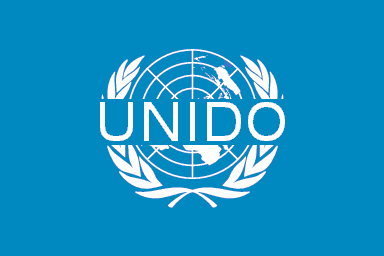 UNIDO Logo photo - 1