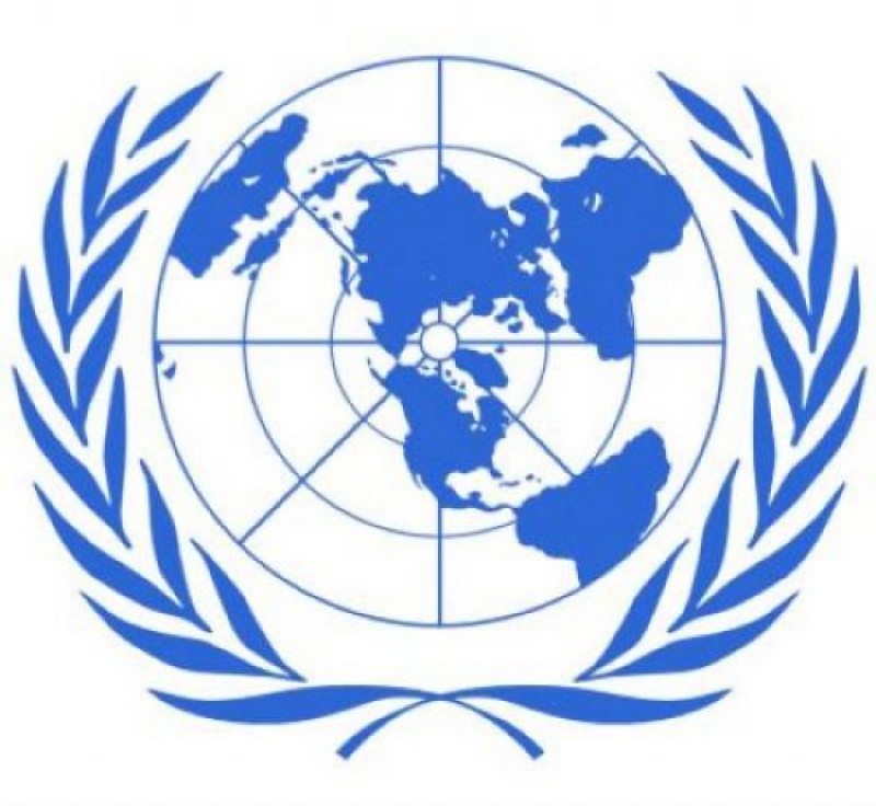 United Nations University Logo photo - 1