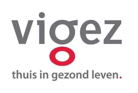VIGEZ Logo photo - 1