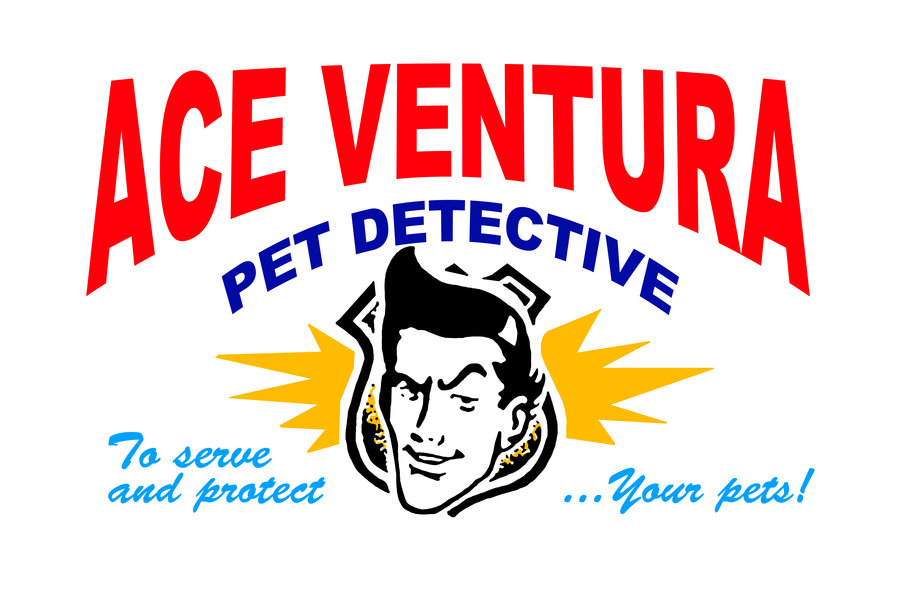 Ventura Logo photo - 1