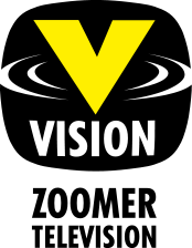 Vikson Logo photo - 1