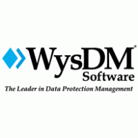 WysDM Software Logo photo - 1