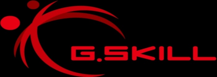 gskill Logo photo - 1