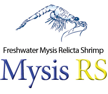 mysis Logo photo - 1
