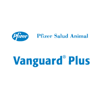 pfizer salud animal Vanguard plus Logo photo - 1